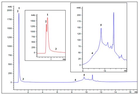 A Drug Discovery Approach to a Reveal Novel Antioxidant Natural Source ...