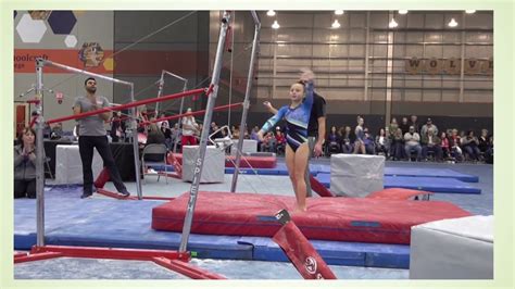 Image result for Level Four-Bar Routine