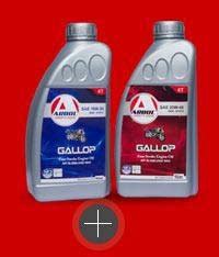 Arbol Grllop Two Wheeler Four Stroke Engine Oil Manufacturer, Supplier ...