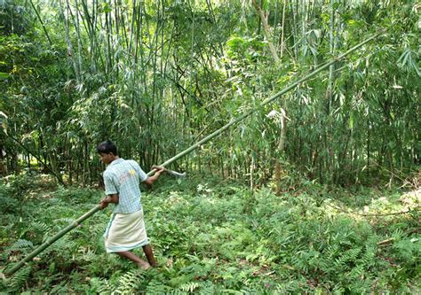 D'source Landscape | Shri Mantu Chandra Das | D'Source Digital Online ...