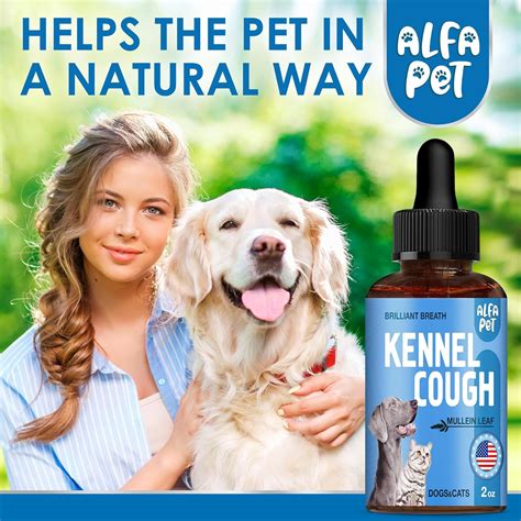Alfa Pet Allergy Relief Immune Supplement for Dogs & Cats - India | Ubuy