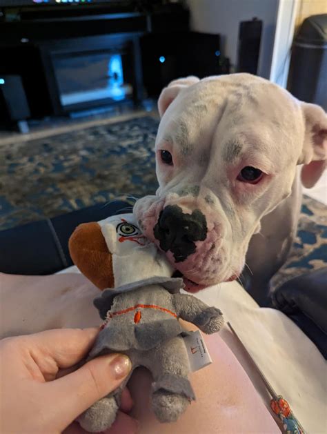 Pennywise Adrian Scene 的图像结果