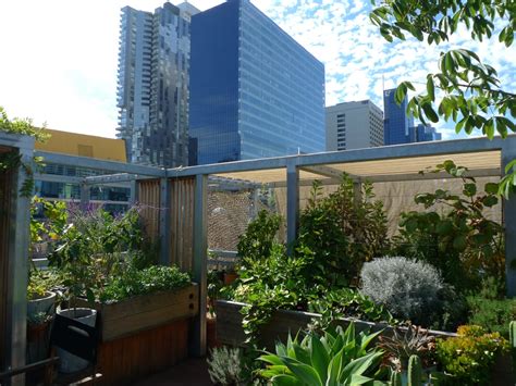 Commercial Worm Production 的图像结果