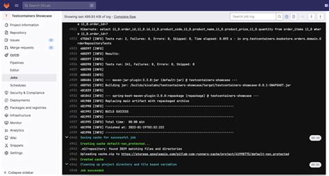 Image result for GitLab Tests
