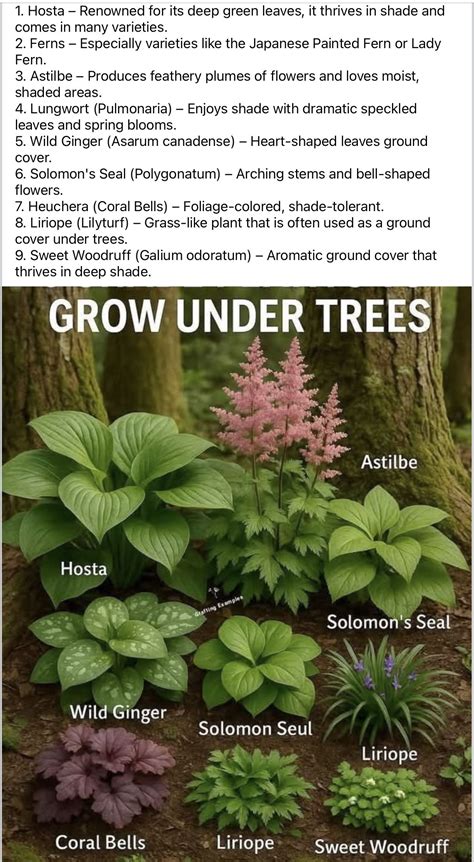 Pin by Suzette Richardson on Gardening in 2025 | Front garden landscape ...