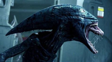 Image result for Alien Xenomorph Protomorph Neomorph