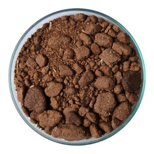 Premium Rapeseed DOC: A Sustainable Protein Solution - Hydrocolloids ...