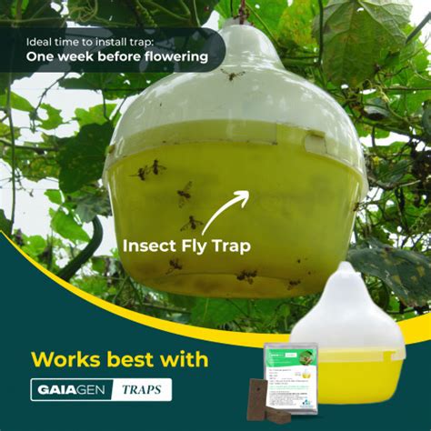 Gaiagen Pheromone Lure for Melon Fly and Insect Fly Trap