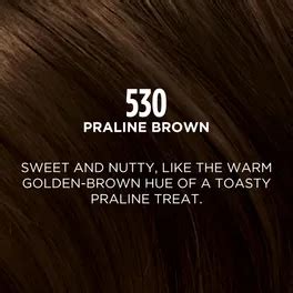 Buy L'Oreal Paris Casting Creme Gloss Hair Color, 530 Praline Brown, 1 ...