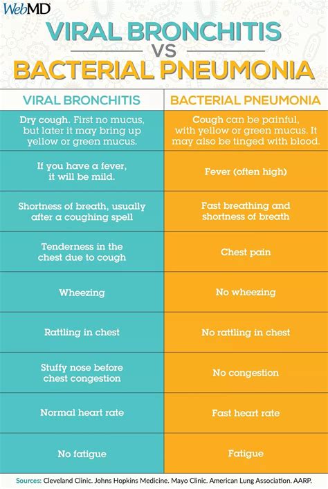 Bronchitis vs pneumonia lung sounds - motorsbillo