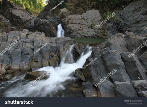 Image result for Difference Form Type Examples Only Use HTML