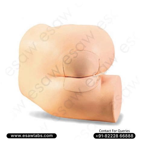 Rectal Touch Examination Simulator – Prostate & Rectum Palpation T ...