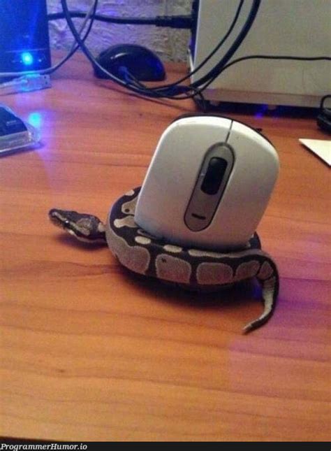 Image result for Mouse Moving with Signs Python