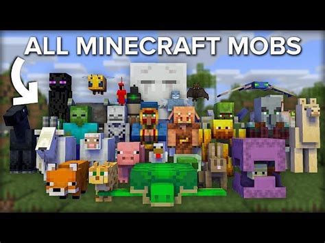 Image result for Minecraft Zoo Build