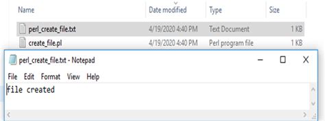Image result for Perl File