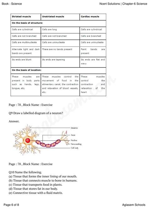 Class 9 Science Chapter 6 的图像结果