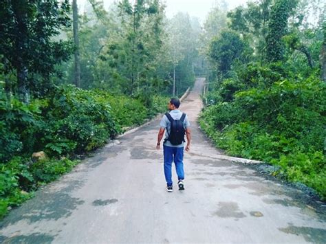 Kiliyur Falls (Yercaud) - 2021 What to Know Before You Go (with Photos ...