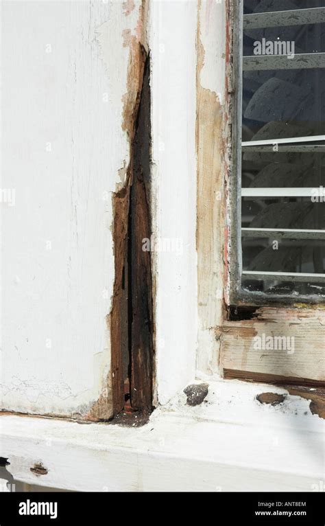 Image result for How to Restore Window Timber Frame