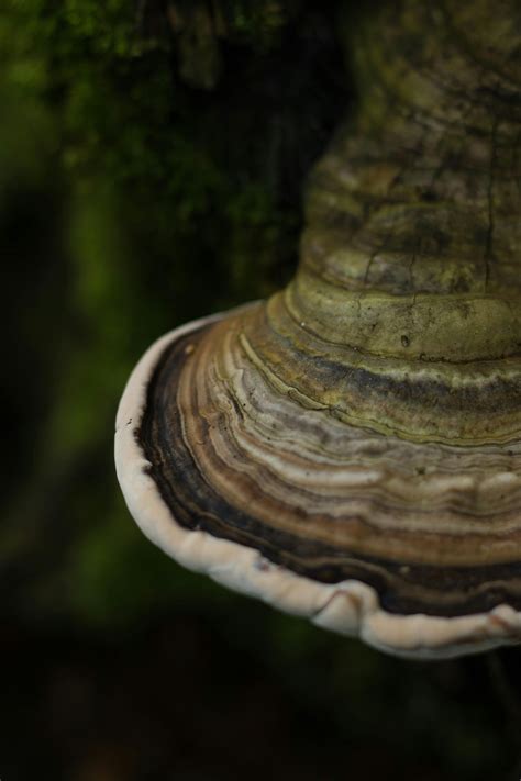 biological 的图像结果