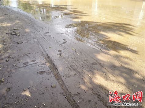 原省青年农场家属楼居民：下雨楼道积水没过膝盖，倒灌一楼居民家！_腾讯新闻