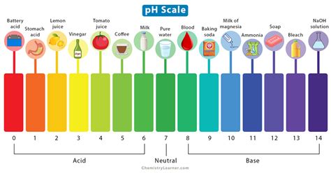 PH Scale Explained 的图像结果