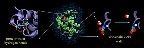 Indian Institute of Science