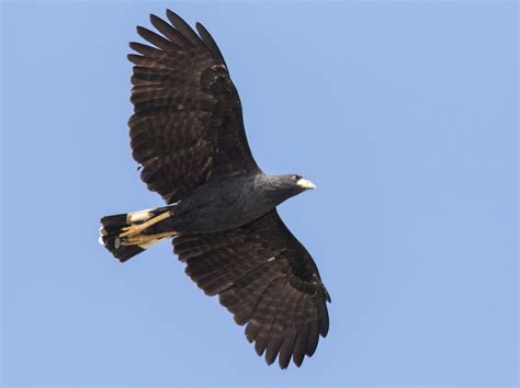 Soar High: Black Hawk Students Embracing Indigenous Heritage