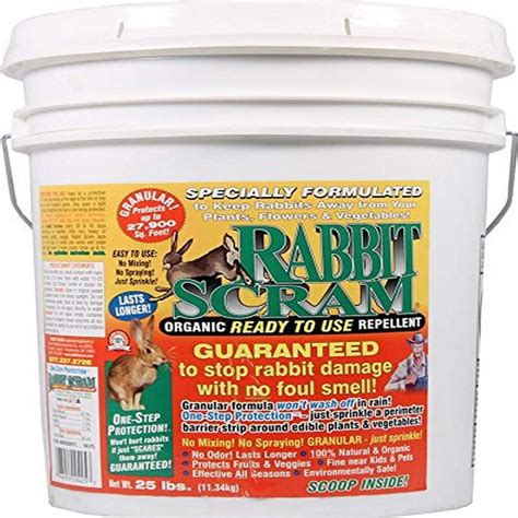 The 10 Best Rabbit Repellents of 2025 - Best Garden Tips