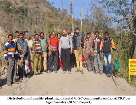 Dr YS Parmar University of Horticulture & Forestry