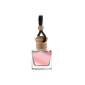 ORAGEO Premium Car Perfume Hanging Pod - 10 ML Best For Gifting Car Air ...