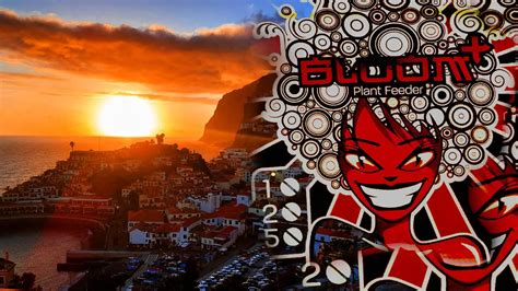 The Rise of Bloom in Madeira: Understanding Its Lasting Impact