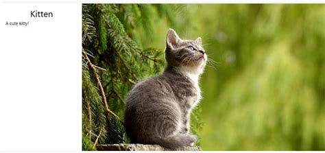 Image result for CSS Styling for Title