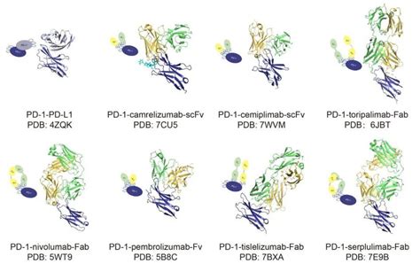 Pcdf Vector 的图像结果