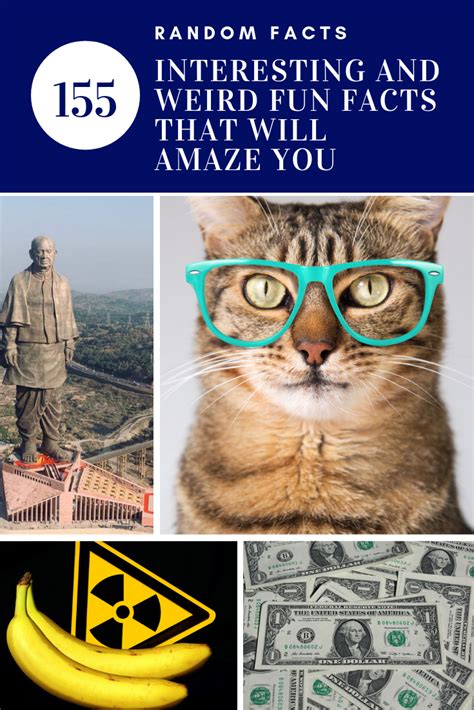 Crazy Fun Stuff 的图像结果