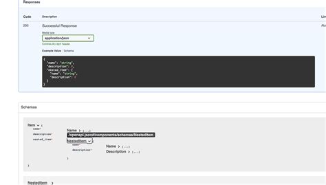 Image result for None Is Not a String Swagger