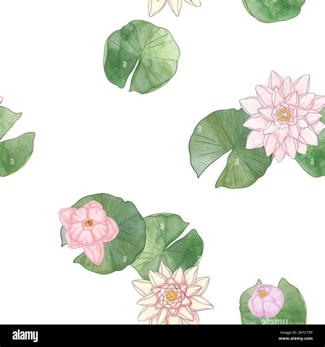 How To Draw A Lily Pad Flower