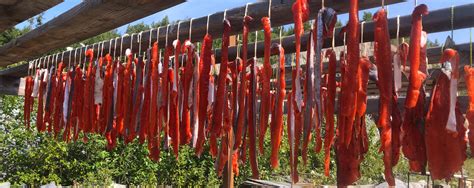 How to Properly Freeze Salmon: Ultimate Guide for Freshness – buzzlyo