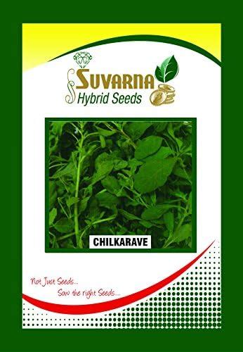 Suvarna Combo Beetroot Ruby Queen Imported,Bittergourd Green Long ...