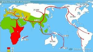 Human Evolution Migration Map 的图像结果