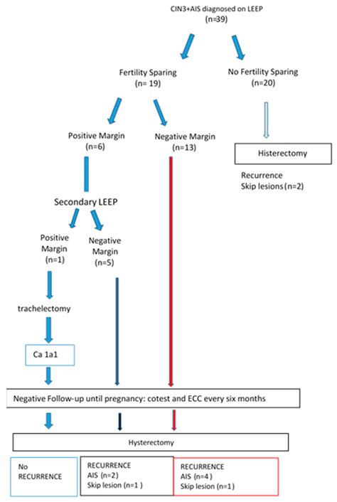 The Coexistence of Cervical Intraepithelial Neoplasia (CIN3) and ...