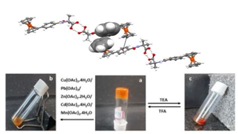 Prof. Debasish Haldar/publications/iiser kolkata/DCS/Faculty/chemistry