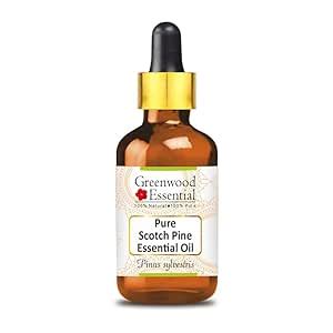 Greenwood Essential Pure Scotch Pine Essential Oil (Pinus sylvestris ...
