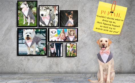 Buy Puptail Dog Suit or Dog Tuxedo and Bandana Set, Dogs Wedding Party ...