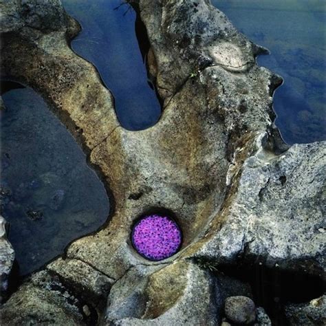 地球 Art 的图像结果