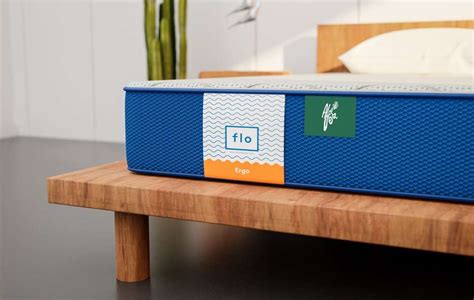 FLO Ergo™ 5 inch Queen PU Foam Mattress Price in India - Buy FLO Ergo ...
