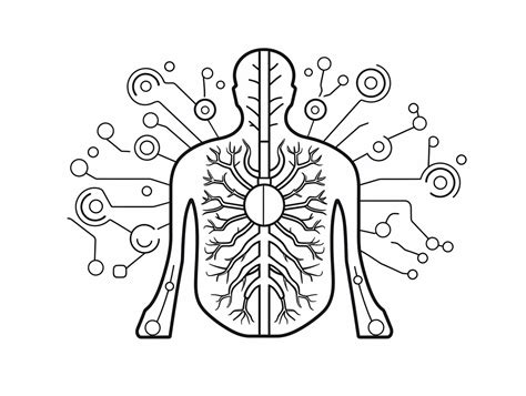 Image result for Circulatory System Easy Drawing