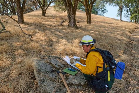 Who Evaluates Culture