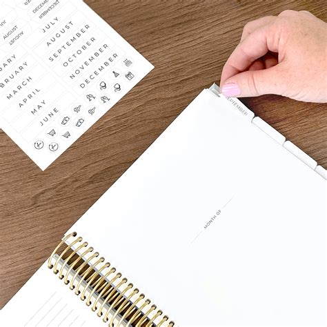 Image result for Plum Paper Reflection