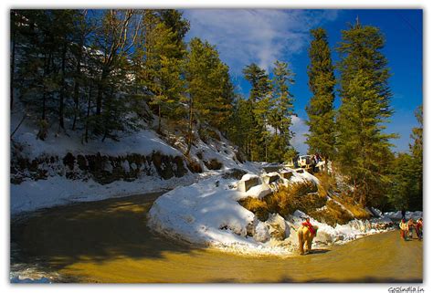 go2india.in : Curved roads of Kufri in snow winter