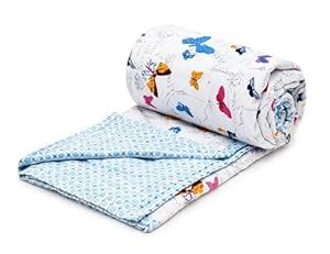 Buy COZY FURNISH Super Soft Brushed Microfiber Cotton Double Bed Dohar ...